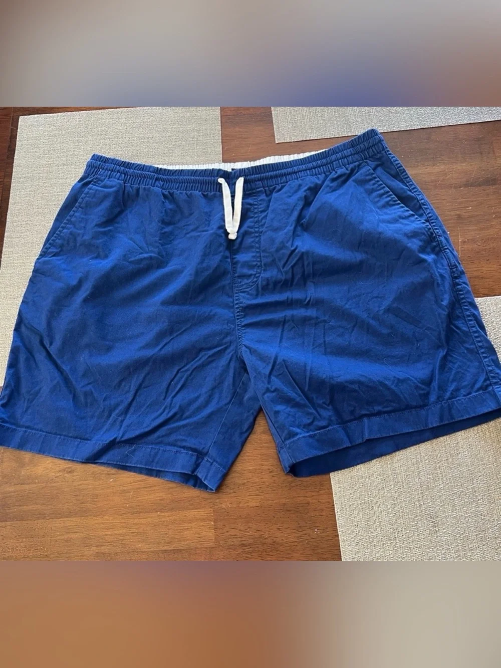 J Crew Blue Casual Drawstring Shorts